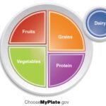 Nutrition and Diet · Anatomy and Physiology