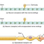 Communication Climate | SPCH 1311: Introduction to Speech Communication
